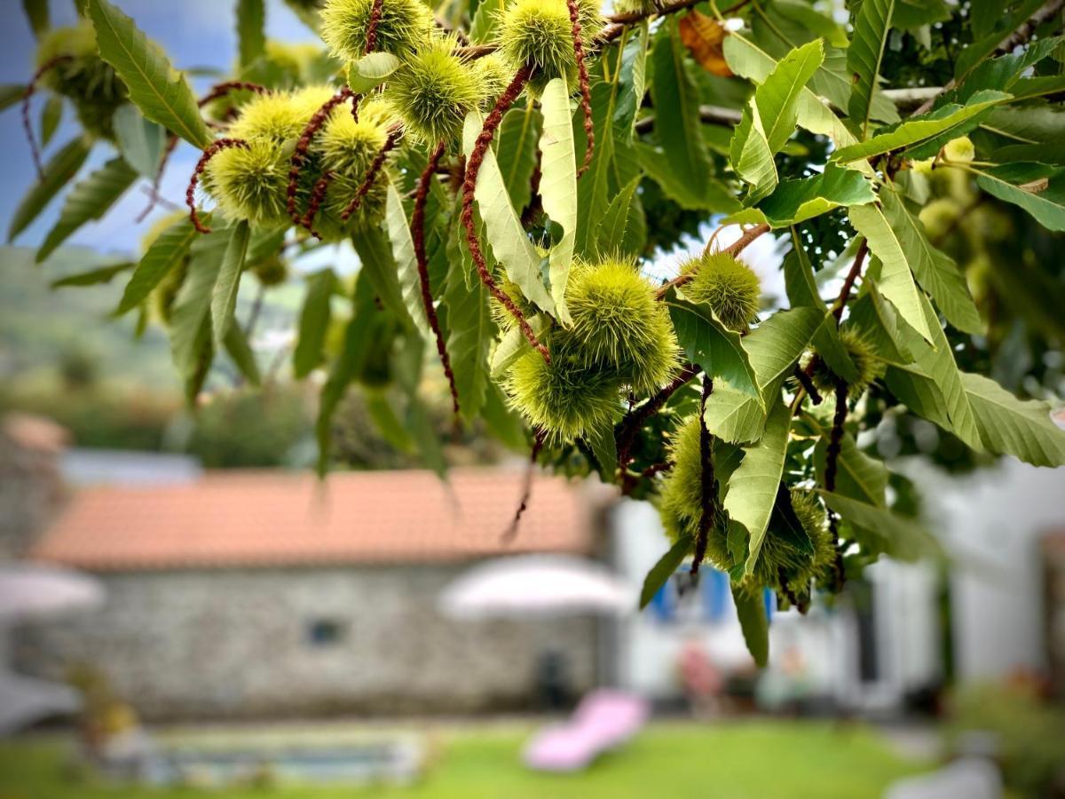 Feteiras Casa Do Priolo - Villaverde Azores מראה חיצוני תמונה