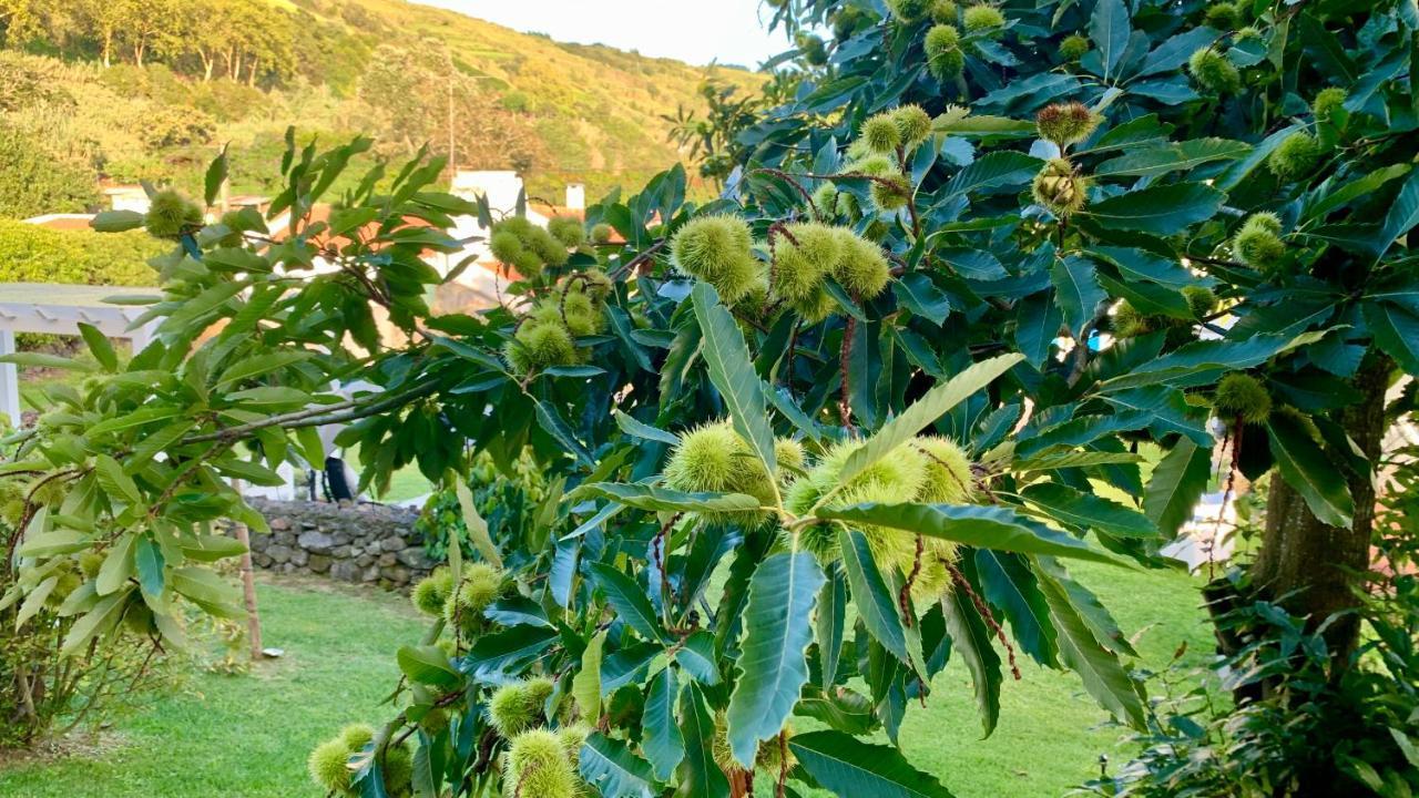 Feteiras Casa Do Priolo - Villaverde Azores מראה חיצוני תמונה